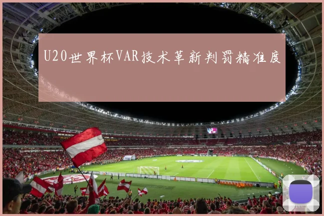 U20世界杯VAR技术革新判罚精准度