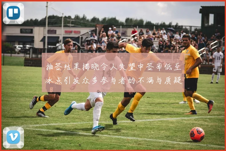 抽签结果揭晓令人失望中签率低至冰点引发众多参与者的不满与质疑
