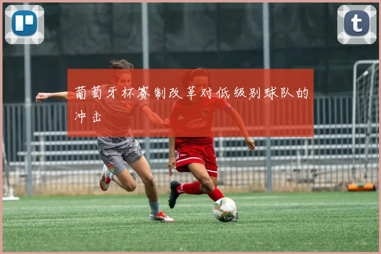 葡萄牙杯赛制改革对低级别球队的冲击